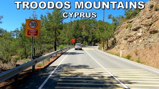 Driving through Pine Forests in the Troodos Mountains in CYPRUS 4K 60FPS [upl. by Wye765]