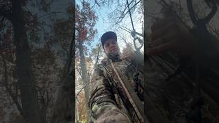 hoyt carolina archery hunting [upl. by Vanna552]