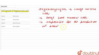 Cell fragments of megakaryocytes yield [upl. by Burget]