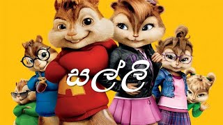 Salli  සල්ලි  Song  Chipmunks Version  Sarith amp Surith ftKVN [upl. by Leiser]