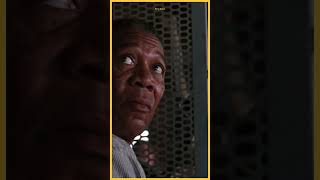 Shawshank Redemption  BEST SCENE whatsappstatus movie movieclips [upl. by Pulchia615]