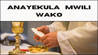 ANAYEKULA MWILI WAKO  TRADITIONAL  LYRICS VIDEO [upl. by Yellac859]