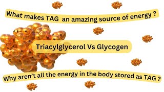 Triacylglycerol an amazing source of energy Two sources of energy adapted to particular needs [upl. by Negah]