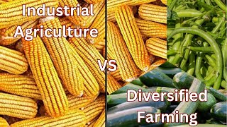 Industrial Agriculture or Diversified Farming Is Our Food Production Ethical [upl. by Binnie]