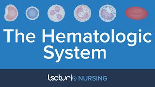 Anatomy of The Hematologic System  Nursing Anatomy [upl. by Ellatsyrc]