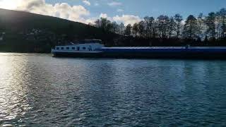 135 Meter Schiff Linnea in Langenprozelten zu Tal [upl. by Kurtzman]