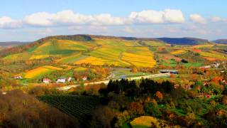 German Vineyards From Above In The Fall [upl. by Lias]