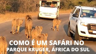 Como é um Safári no Parque Kruger África do Sul [upl. by Larrej]