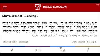 Sheva Brachot  שבע ברכות  Blessing 7  Bénédiction 7 [upl. by Julina]