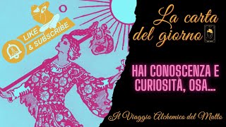 Carta del giorno  Hai conoscenza e curiosità osa… [upl. by Yknarf]