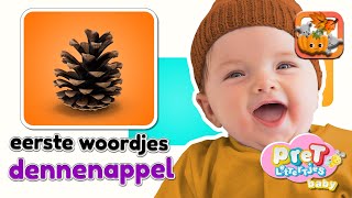 Baby Eerste Woordjes • DENNENAPPEL • Baby tv Nederlandse Baby filmpjes • Eerste Woordjes Leren [upl. by Anahsohs247]