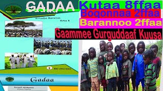 GADAA Kutaa 8ffaaBoqonnaa 2ffaa Gaammee Gurguddaaf Kuusa [upl. by Schouten]