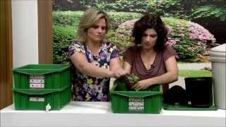 Como fazer compostagem caseira com Sabrina Jeha [upl. by Moser]