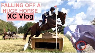 FALLING OFF A HUGE HORSE DURING XC Vlog  Helmet Cam [upl. by Nanette]