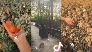 Cottagecore tiktok compilation 🍄 Part 27 🍄 [upl. by Clarisa]