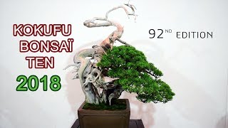 Kokufu Bonsai Ten 92ème édition 2018  Tokyo [upl. by Aurea40]