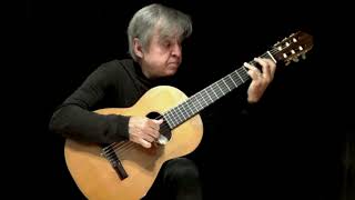 DUST IN THE WIND Kansas solo guitar by Carlos Piegari [upl. by Hazlett283]