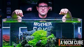 90CMCUBE PLANTED AQUARIUM WITH AN AWESOME 360 VIEW [upl. by Ailati]