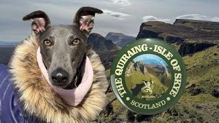 GREYHOUND visits Quiraing and Fairy Glen…Part 3 Isle of Skye adventure [upl. by Kimberli]