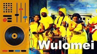 Wulomei Songs Mix  Ghana Music  Ga Songs Vol 10 [upl. by Ibib969]