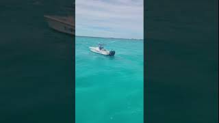 Cruise passenger dies in sinking of Bahamas excursion boat [upl. by Alegnasor]