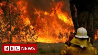 Australia fires Morrison heckled by bushfire victims  BBC News [upl. by Llenram767]