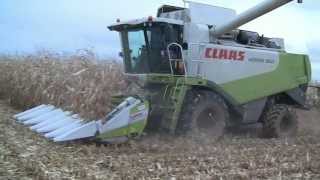 Moissonneuse Batteuse Claas lexion 550 amp bec à mais 6 rangs  2012 Franche Comté [upl. by Aketal]