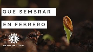 Que Sembrar En FEBRERO calendario de siembrahemisferio norte y sur [upl. by Peskoff]