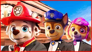 PAW PATROL  Dance SH Media SONG COVER [upl. by Hen]