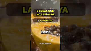 3 BENEFICIOS DE CONSUMIR PAPAYA alimentossaludables papaya alimentosaludable [upl. by Bonni70]