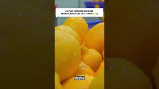 usine de transformation du citron 🍋‍🟩🤯 citron usine delicious cooking production pourtoi [upl. by Alicul]