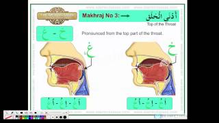 Makhraj No 317 Articulation Points of Arabic Alphabet Letters of the throat [upl. by Marilee]