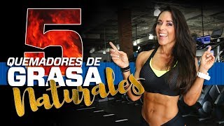 5 QUEMADORES DE GRASA ABDOMINAL PREPARADOS EN CASA 👊🏻👊🏻😯 [upl. by Easton]