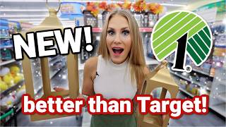 ✨ NEWEST ✨ DOLLAR TREE finds BETTER than Target easy DIY  new cleaners [upl. by Yaral]