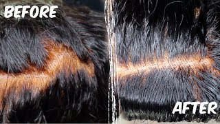 Quick amp Easy  How To Fix Over Bleached Knots  ft Asteria Hair [upl. by Nosyt156]