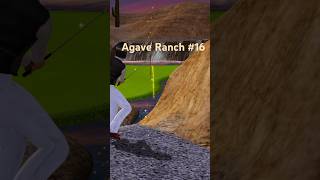 Agave Ranch Hole 16 Chip in for Birdie [upl. by Oironoh]