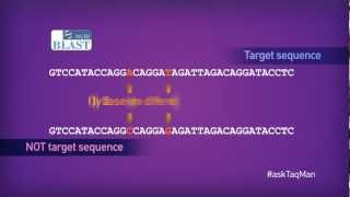 Which Quencher Molecule is Best for TaqMan® Probes in RealTime PCR  Ask TaqMan® Ep 3 [upl. by Suinotna]