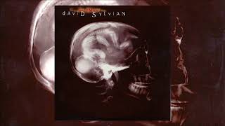 David Sylvian  God Man Full EP [upl. by Nicholl197]