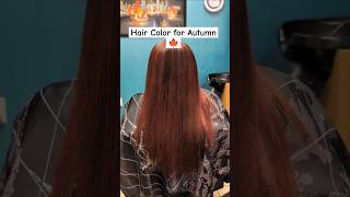 From Blonde to Red for Autumn 🍁Athenas Hair Pallas hair redhair hairextensions dallashair [upl. by Teloiv]