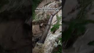 Pigeon Forge flash flood July 28 2024 flood flashflood pigeonforge [upl. by Abdel]