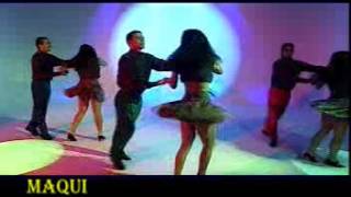 VIDEO  TROPICAL  NO HAY PESOS  LOS CANTANTES  FLV [upl. by Anaib375]