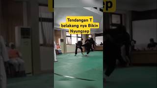 Tendangan T belakang pencaksilat tekhnikpencaksilat shortvideo martialarts [upl. by Xino]