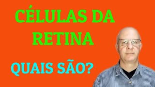 Células da retina Quais são [upl. by Anabella899]