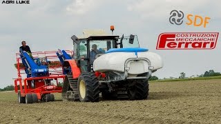 Same Silver 1004  Ferrari Futura  Trapianto Pomodori  Tomatoes Transplanting [upl. by Leirad]