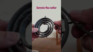 Seresto flea tick collar for cats and dogs shortsyoutube dog cat [upl. by Otirecul]