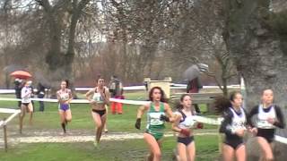 Campeonato de España de campo a traves por autonomias Avila 2013 Cadete Femenino [upl. by Ihcego]