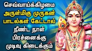 TUESDAY SPL MURUGAN TAMIL DEVOTIONAL SONGS  Murugan Bakthi Padalgal  Murugan Tamil Devotional Song [upl. by Nahtnhoj855]