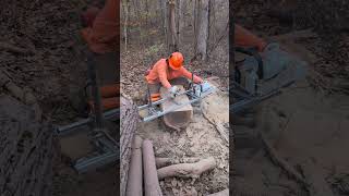 Alaskan Chainsaw Mill on heavy black walnut tree chainsaw demo [upl. by Baerl333]