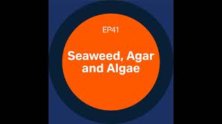 Discovery Matters  Ep41 Seaweed Agar and Algae [upl. by Audsley49]