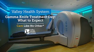 Gamma Knife Treatment Day What to Expect [upl. by Aillil730]